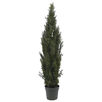 6ft. Cedar Pine Tree
