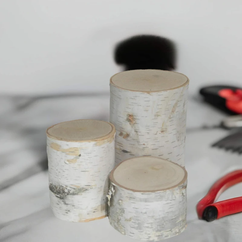 Wilson® Enterprises Birch Pillar Set