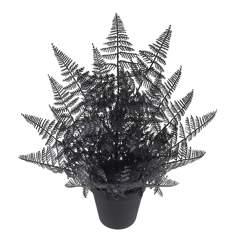 16" Black Fern by Ashland®