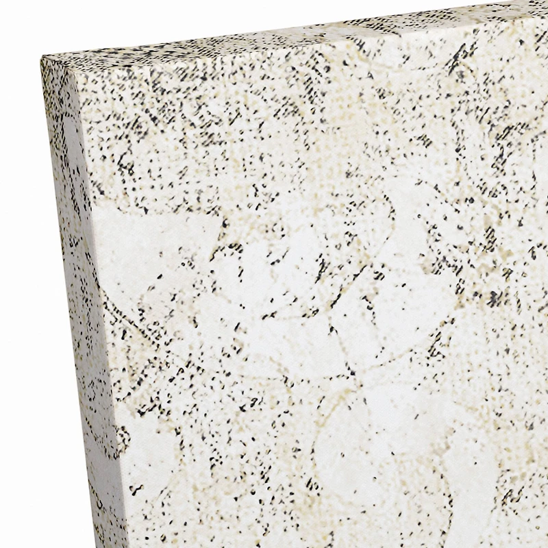 Apothecary Spot 2 24" x 30" Canvas Wall Art