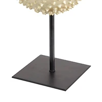 Gold Polyresin Coastal Fish Sculpture, 9" x 7" x 5"