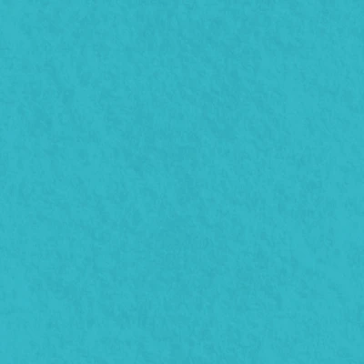 Eugene Textiles Solid Polyester Craft Felt