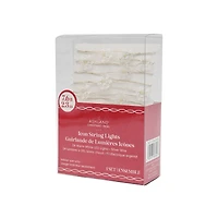 24ct. Warm White LED Snowflake String Lights on Silver Wire by Ashland®