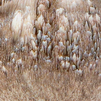 Hello Honey® 16oz. Brown & Blue Round Stoneware Mug Set, 2ct.