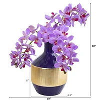 13" Moth Orchid Arrangement in Blue & Gold Vase