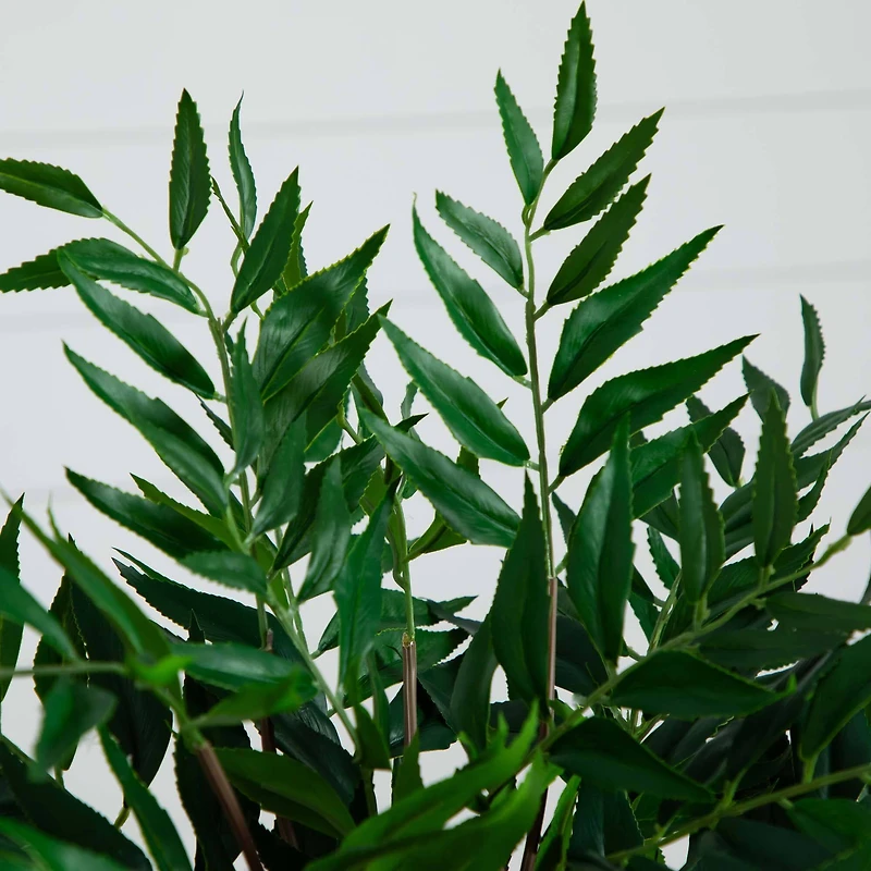 19" Palmate Fern Arrangement in Glass Vase