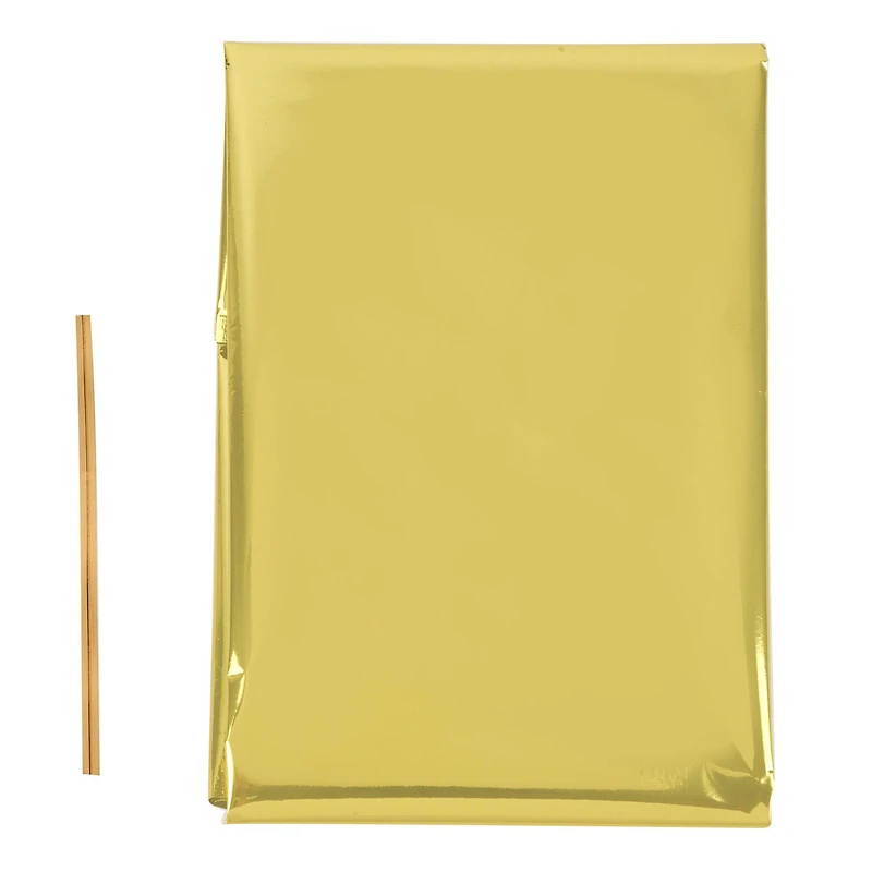 Metallic Basket Gift Bag by Celebrate It