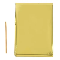 Metallic Basket Gift Bag by Celebrate It