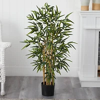 3.5ft. Potted Twiggy Bamboo Tree