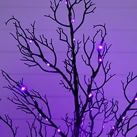 4ft. Pre-Lit Halloween Minimalist Twig Artificial Fall Tree with 160 Orange & Purple LED Lights