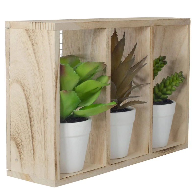 10.75" Mixed Potted Succulents in Wooden Box