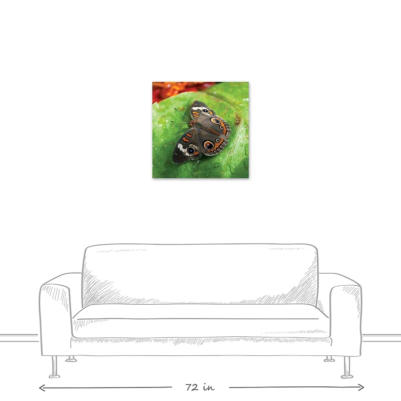 Butterfly On Leaf 24" x 24" Canvas Wall Art
