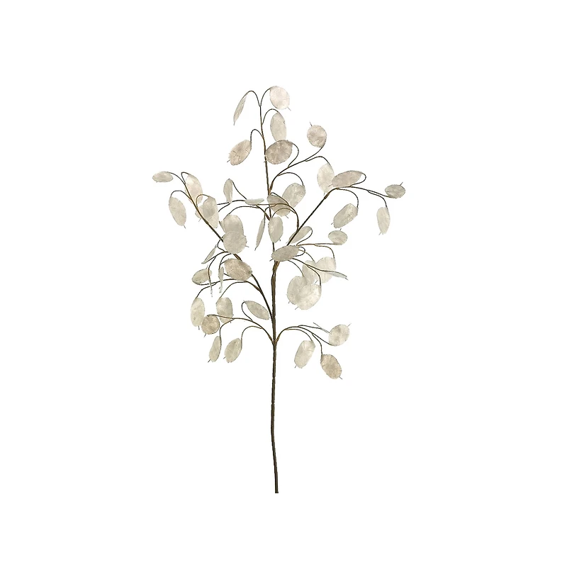 White Silver Dollar Spray