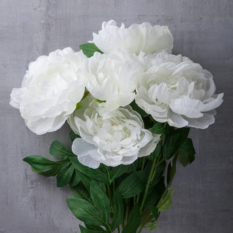 White Peony Bush by Ashland®