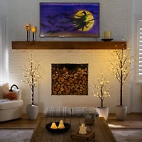 3ft. 5ft. 6ft. Artificial Brown Birch Trees with Warm White LED Lights - Set of 3