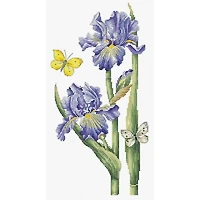 Luca-s May Iris? Counted Cross Stitch Kit