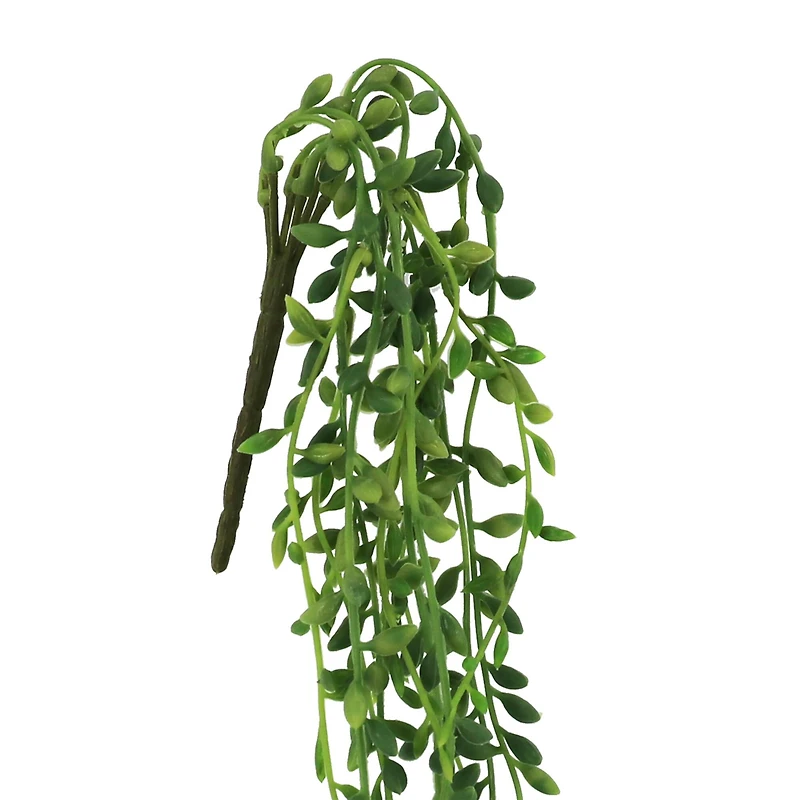 19" String of Pearls Pick by Ashland®