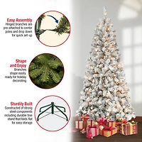 6ft. Pre-Lit Acacia Flocked Artificial Christmas Tree, Clear Lights