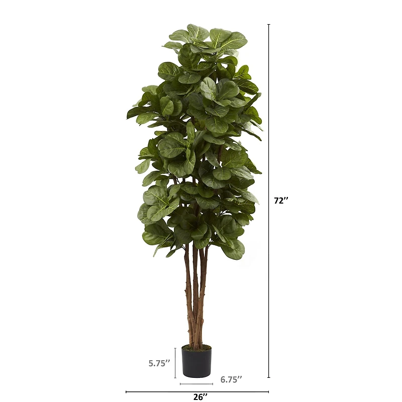 6ft. Potted Fiddle Leaf Fig Tree
