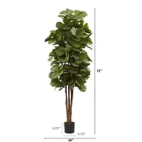 6ft. Potted Fiddle Leaf Fig Tree