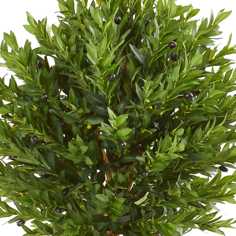 5.5ft. Potted Olive Topiary Tree