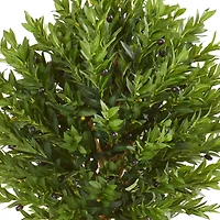 5.5ft. Potted Olive Topiary Tree