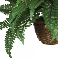 18" Boston Fern Hanging Basket