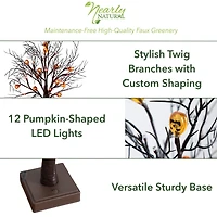 22in. Pre-Lit Artificial Halloween Brown Twig Tree with 12 Orange LED Pumpkin Shaped Lights