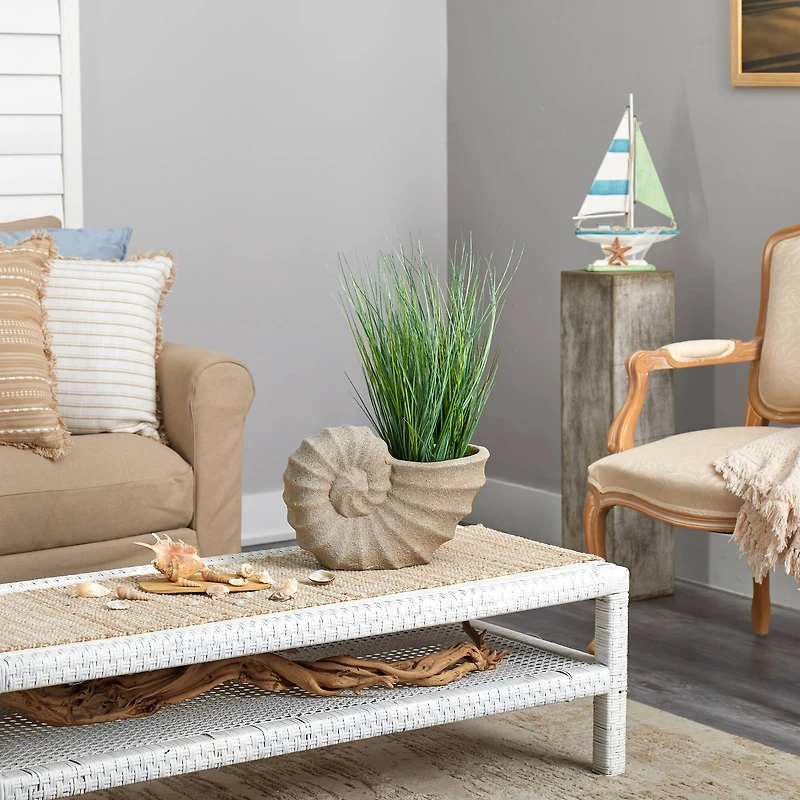 21" Onion Grass Plant in Shell-Shaped Planter