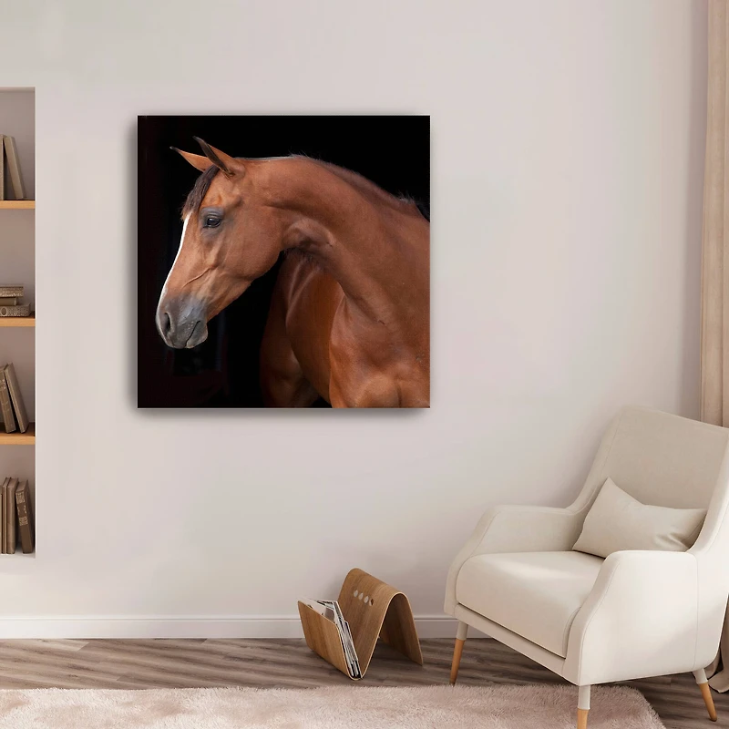 Lumaprints Jack the Horse Giclée Canvas