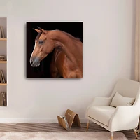 Lumaprints Jack the Horse Giclée Canvas
