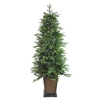 6ft. Pre-Lit Real Touch™️ Oregon Noble Fir Artificial Potted Christmas Tree, Warm Clear LED Lights