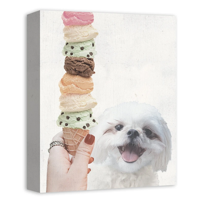 Shih Tzu With Ice Cream 1 Canvas Wall Art