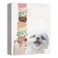 Shih Tzu With Ice Cream 1 Canvas Wall Art