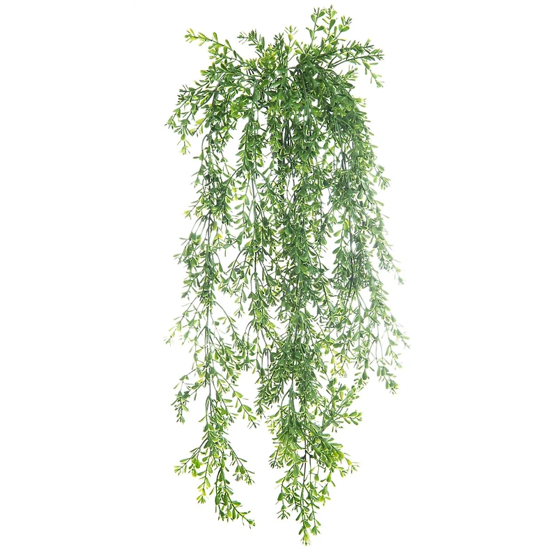 Green Boxwood Bush by Ashland®