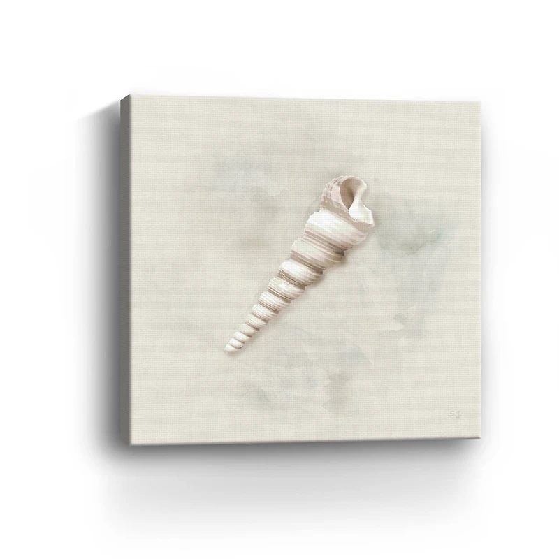 Soft Sand and Shell III Canvas Giclee