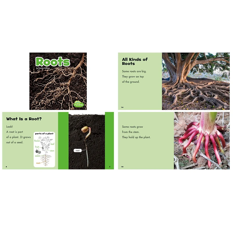 Capstone Press Plant Parts Book Set