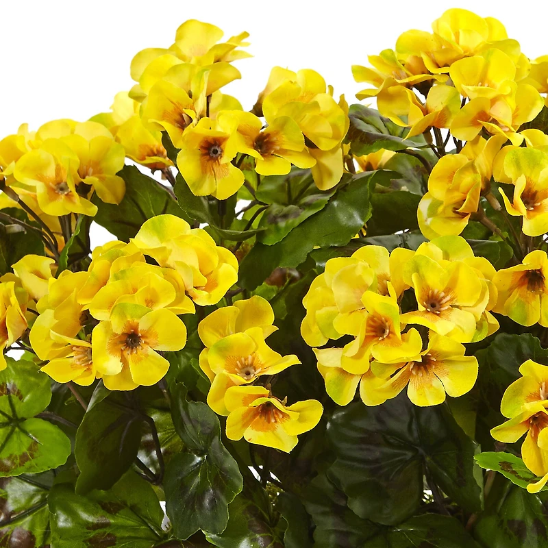 13" Yellow Geranium in Rectangular Planter