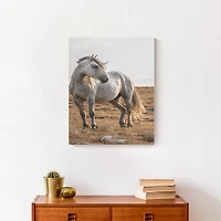 Horse In The Pasture 16" x 20" Canvas Wall Art