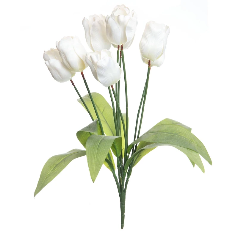 White Tulip Bush by Ashland®