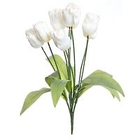 White Tulip Bush by Ashland®