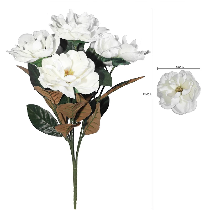 22" White Magnolia Bush by Ashland®