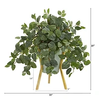 22'' Fittonia Plant in Green Planter with Wooden Legs