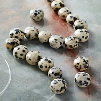 Faceted Dalmatian Jasper Coin, 8mm by Bead Landing™