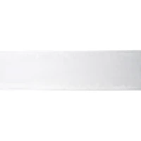 2.5" x 10yd. Sheer Wired Ribbon by Celebrate It® Specialty