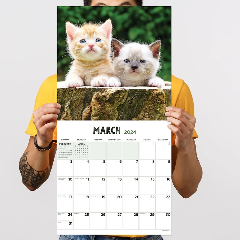 TF Publishing Kittens Wall Calendar