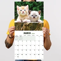 TF Publishing Kittens Wall Calendar