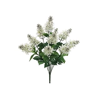 Cream & White Lilac Bush