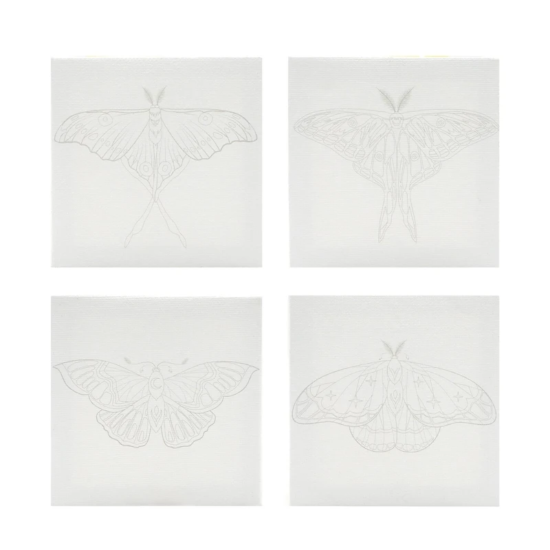 4" x 4" Moths Canvas Painting Kit by Craft Smart®