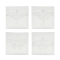 4" x 4" Moths Canvas Painting Kit by Craft Smart®
